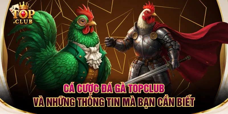 Cá Cược Đá Gà TOPCLUB Và Những Thông Tin Mà Bạn Cần Biết