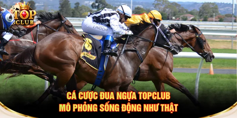 Cá cược đua ngựa TOPCLUB mô phỏng sống động như thật