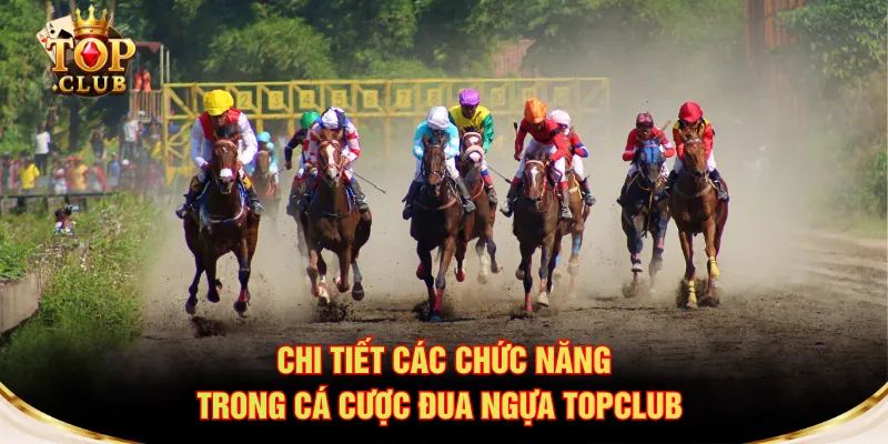 Chi tiết các chức năng trong cá cược đua ngựa TOPCLUB