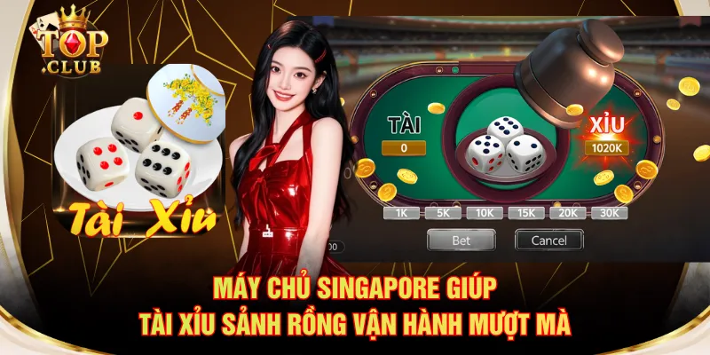 Máy chủ Singapore giúp tài xỉu sảnh rồng vận hành mượt mà