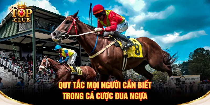 Quy tắc mọi người cần biết trong cá cược đua ngựa
